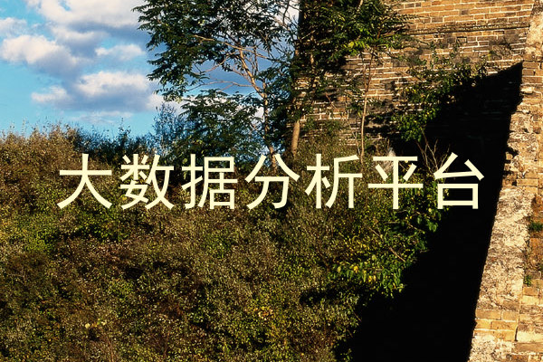 大数据分析平台