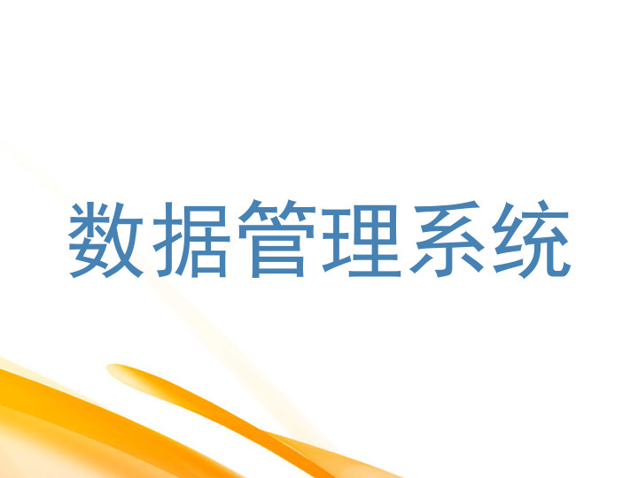 数据管理系统