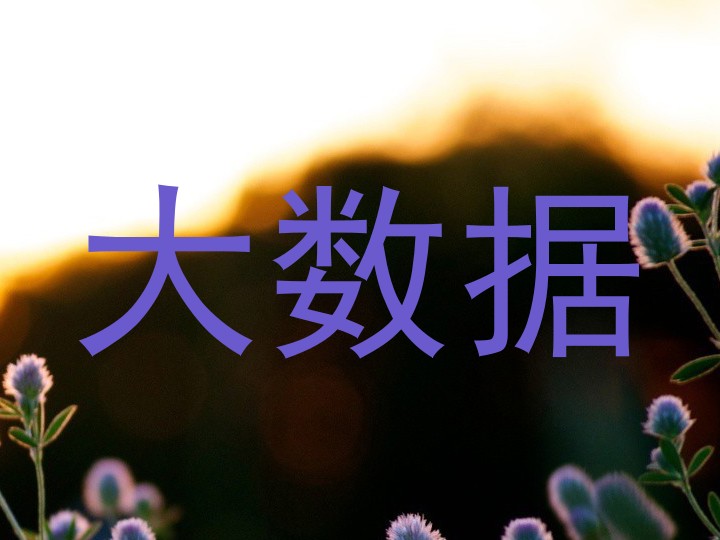 大数据