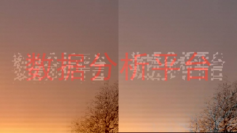 数据分析平台