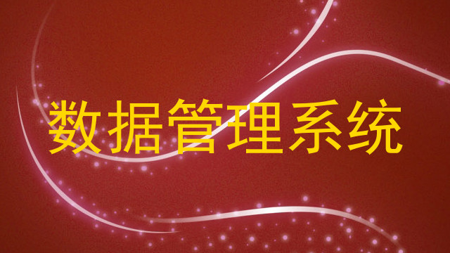 数据管理系统