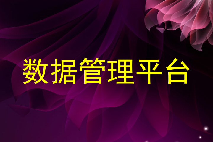 数据管理平台