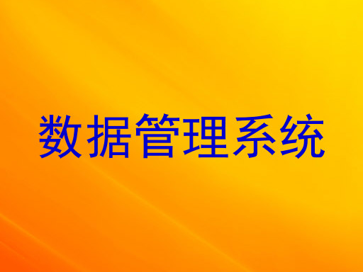 数据管理系统