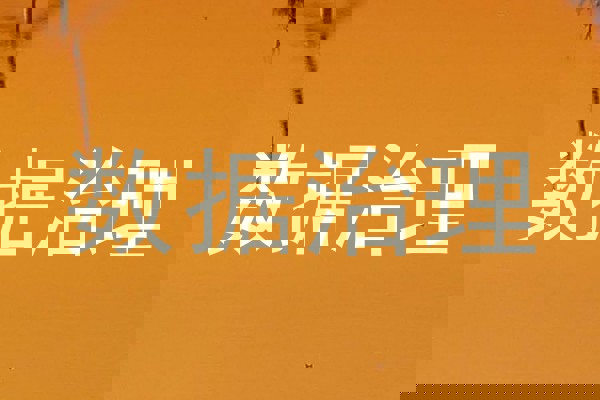 数据治理