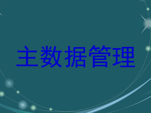 主数据管理