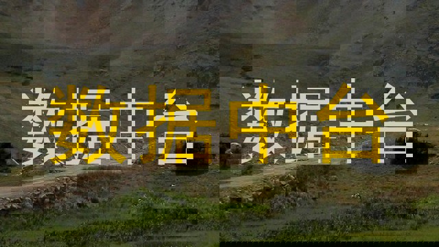 数据中台