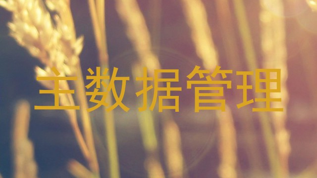 主数据管理