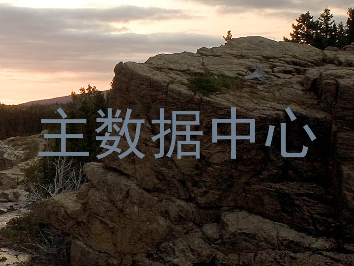 主数据中心
