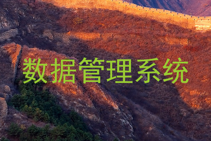 数据管理系统