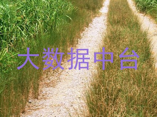 大数据中台