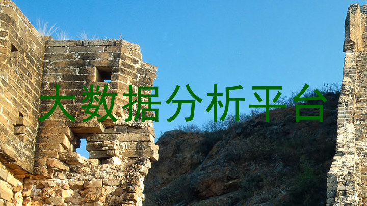 大数据分析平台
