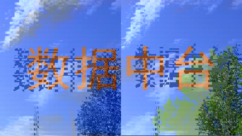 数据中台