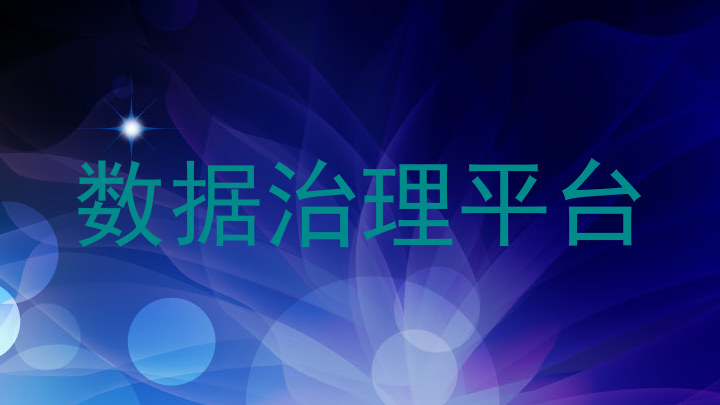 数据治理平台