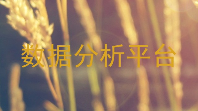 数据分析平台