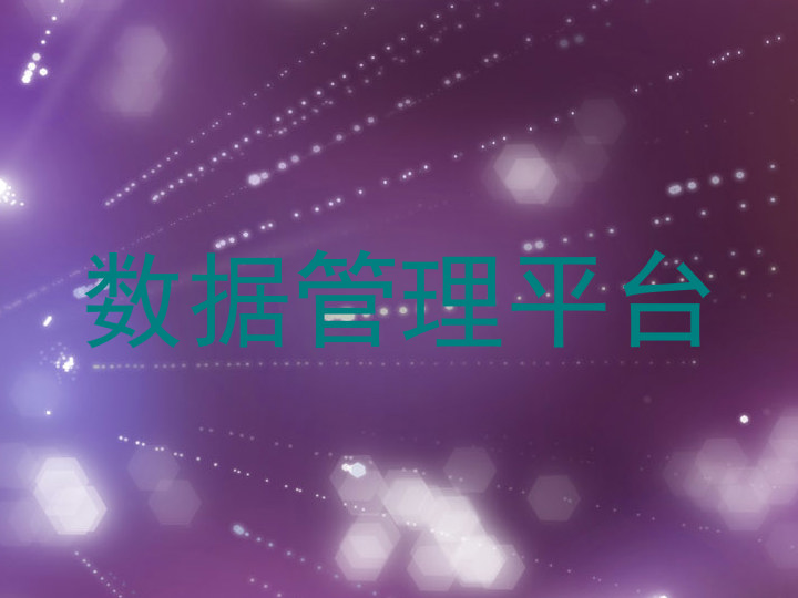 数据管理平台
