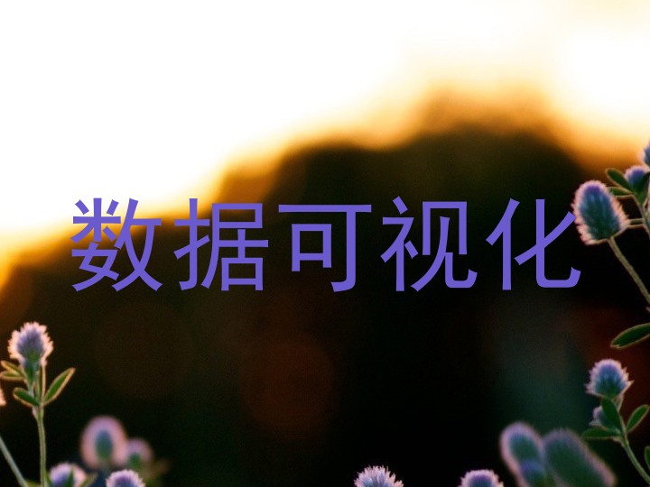 数据可视化