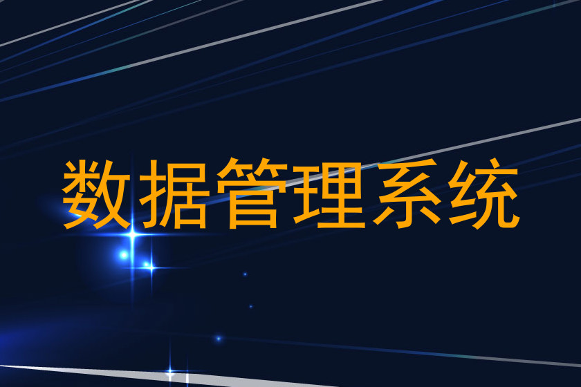 数据管理系统