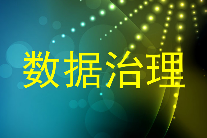 数据治理