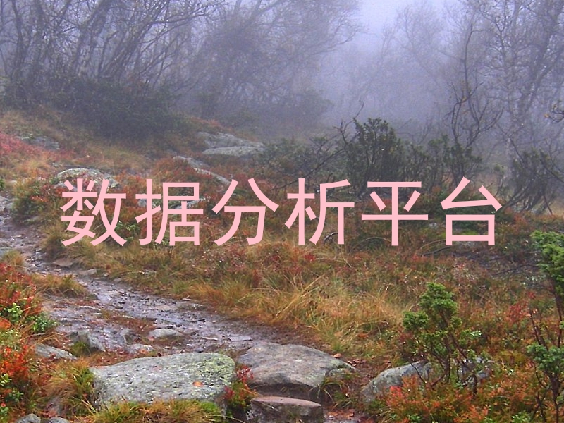 数据分析平台