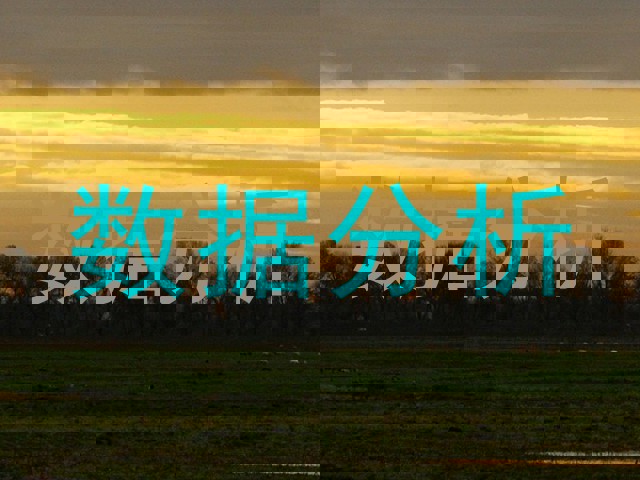 数据分析