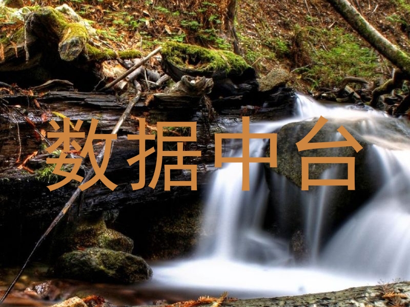 数据中台