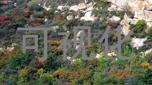 可视化