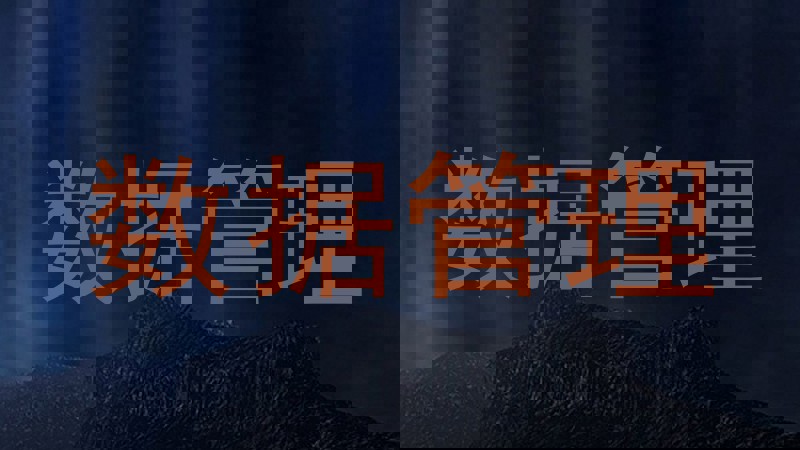 数据管理