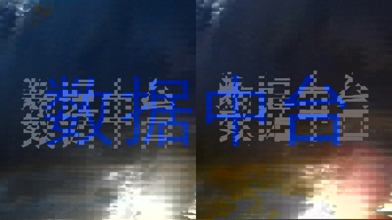 数据中台