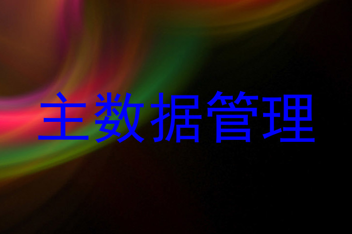 主数据管理