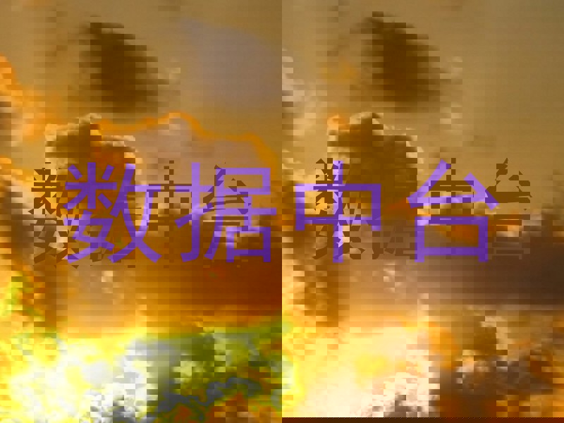 数据中台