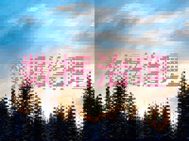 数据治理