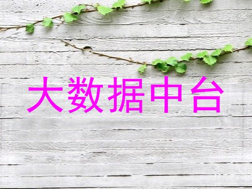 大数据中台