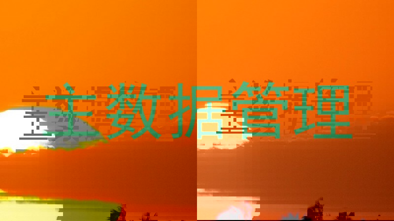 主数据管理