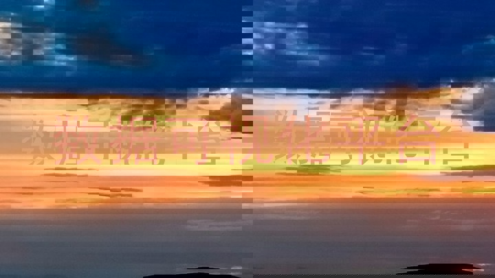 数据可视化平台