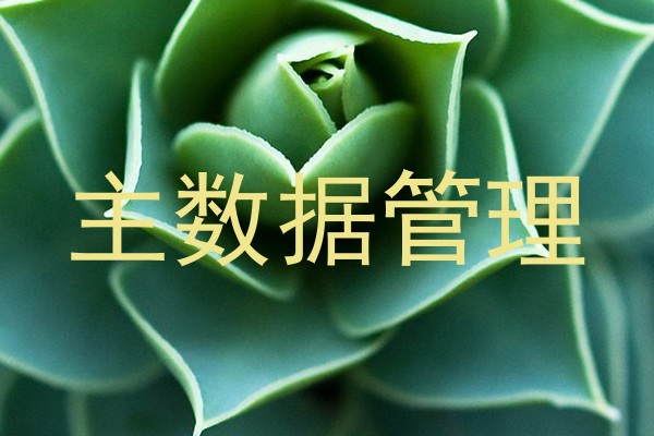 主数据管理