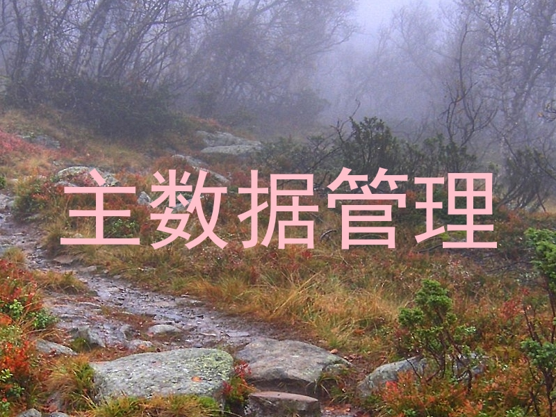 主数据管理