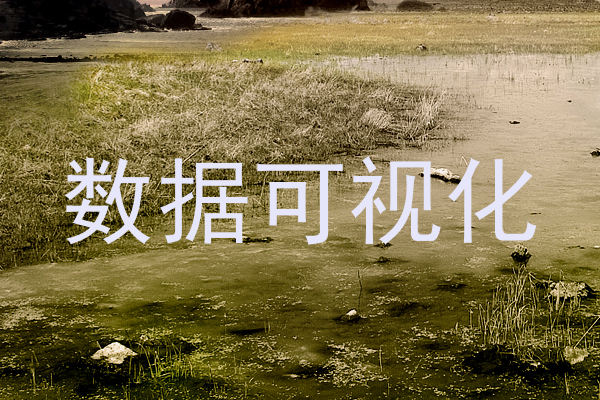 数据可视化