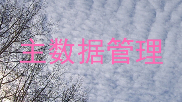 主数据管理