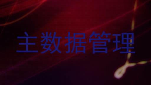 主数据管理