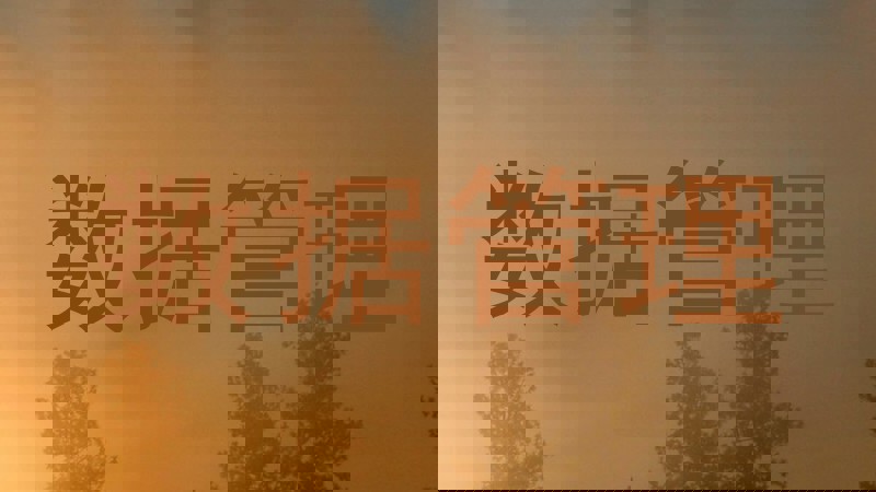 数据管理