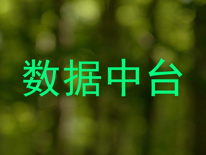 数据中台