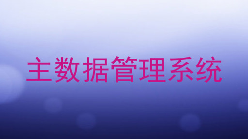主数据管理系统