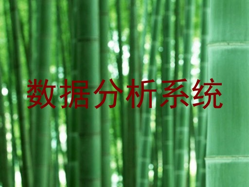 数据分析系统