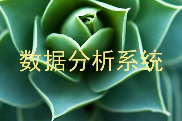 数据分析系统