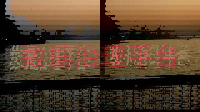 数据治理平台