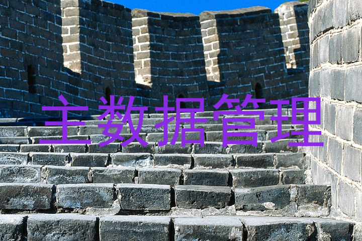 主数据管理
