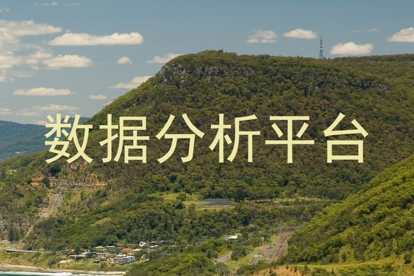 数据分析平台