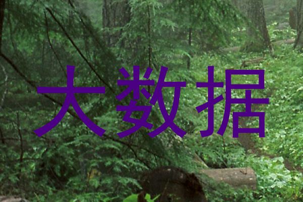 大数据