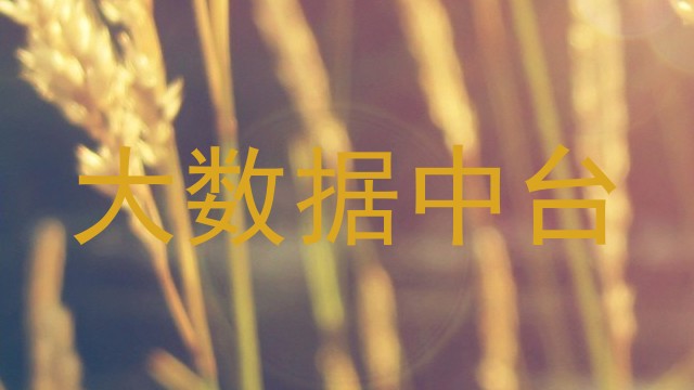 大数据中台