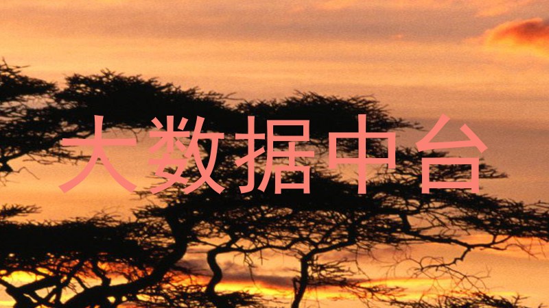 大数据中台